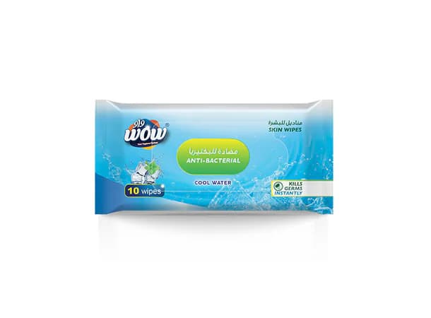 Anti-Bacterial Skin Wipes (10 Wipes Pack)